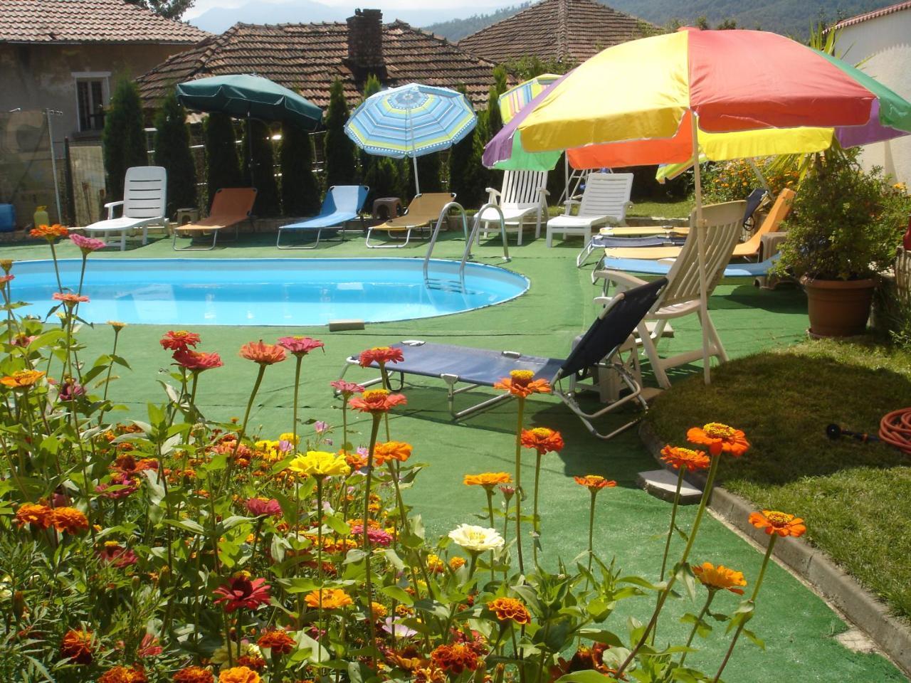 Guest House Camellia Berkovitsa Exterior photo
