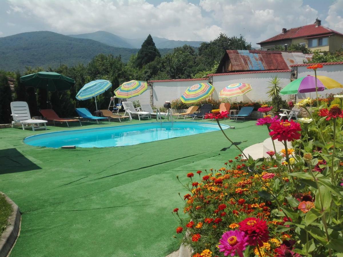Guest House Camellia Berkovitsa Exterior photo
